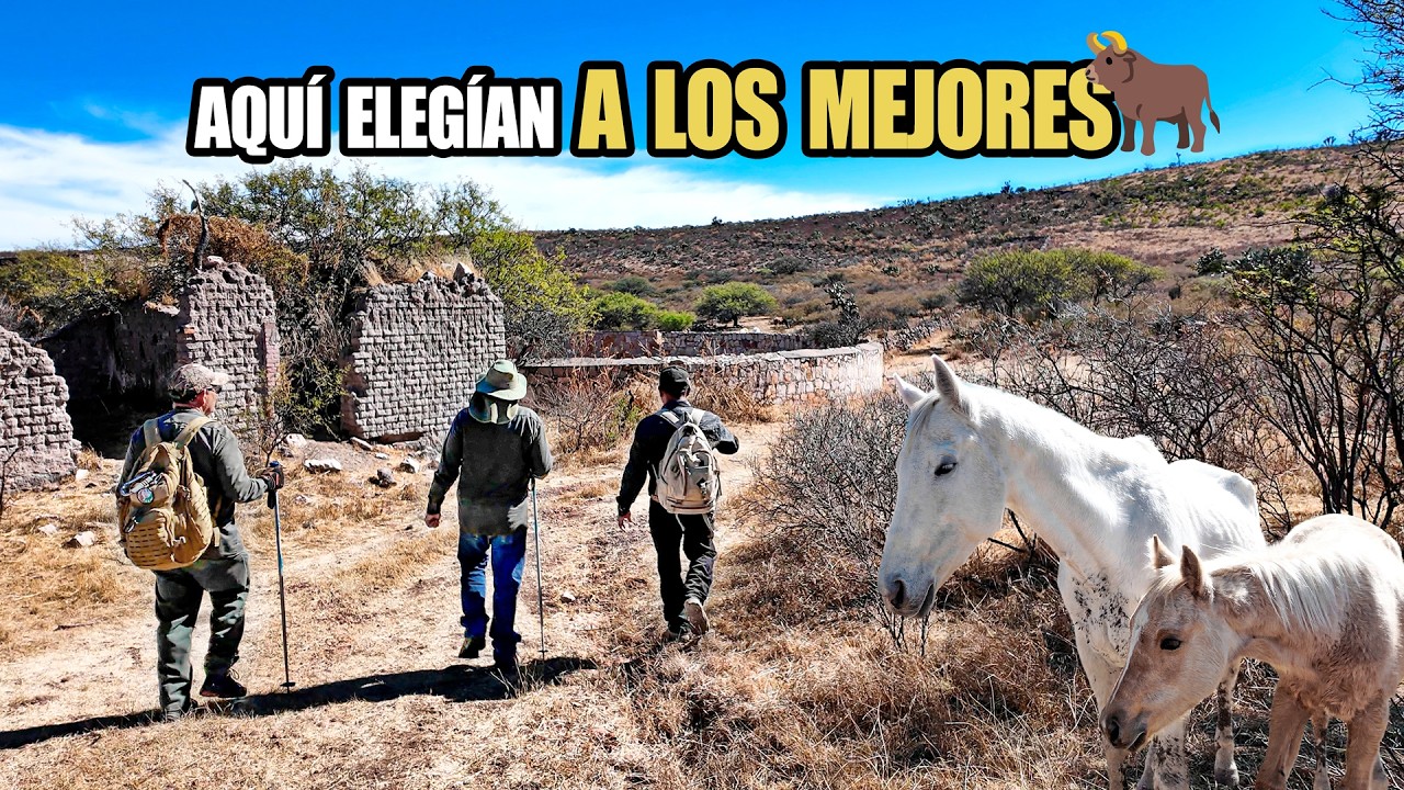 ESCONDIDA en el CERRO: La Antigua Plaza de Toros de la Ex Hacienda Boquilla del Carmen