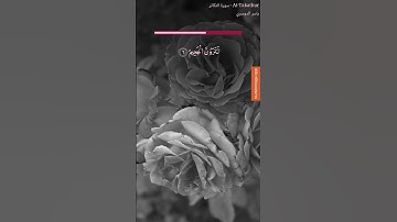 #اكتب_شي_تؤجر_عليه #سورة_التكاثر #القرآن_الكريم @Yasseraldosry #viral #اكسبلور #حالات_واتس