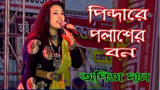 Pindare Polasher Bon || Arpita Das || পিন্দারে পলাশের বন ।| Bengali Folk ||