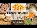 أنواع الحبوب                   باللغة التركية نجومي