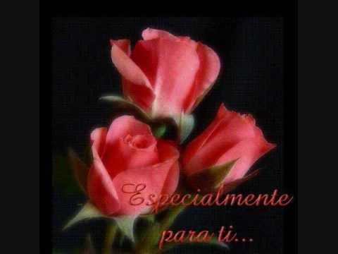 flor hermosa los arroyos de jungapeo michoacan youtube