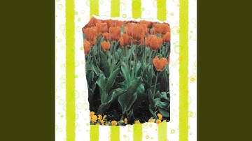 Superlative Enjoying Colors