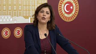 Grup Başkanvekilimiz Meral Danış Beştaş Meclis'te basın toplantısı düzenliyor