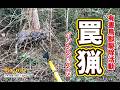 【猪猟】２月の罠猟 #猪猟 #犬 #犬動画 #狩猟 #有害鳥獣