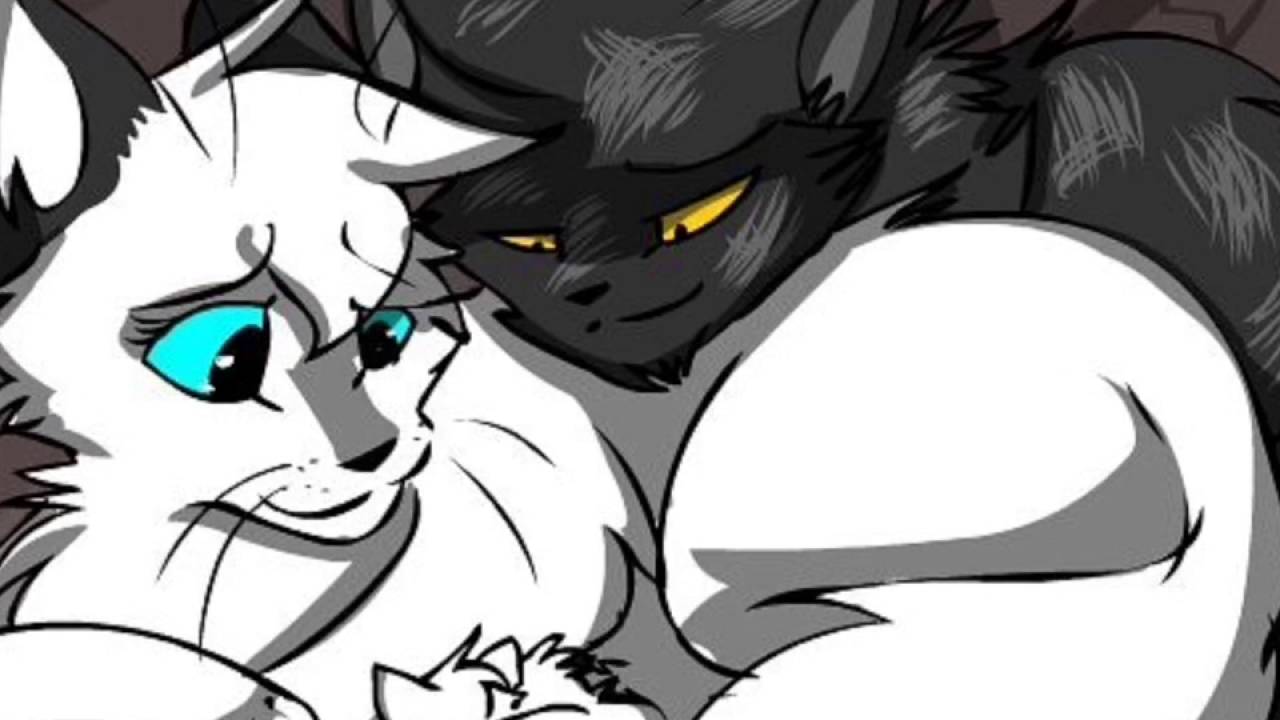 Картинки коты воители белогривка и остролап