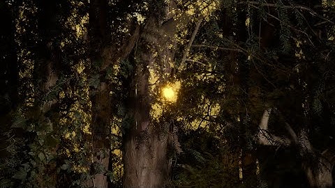 A Tree For My Bed - Image Plane (Official Music Video)