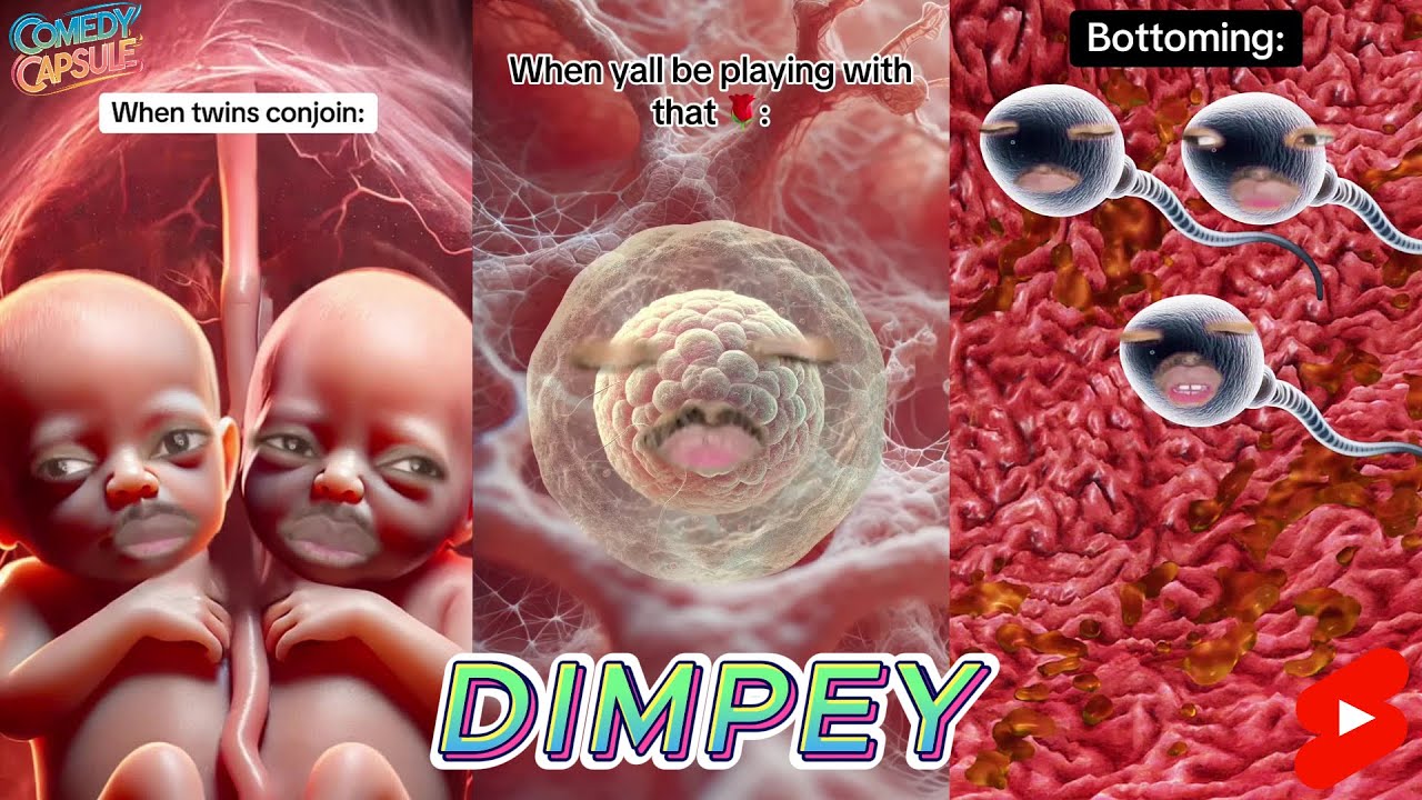 TRY NOT TO LAUGH WATCHING IMDIMPEY COMEDY | ULTIMATE DIMPEY SKITS ...