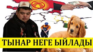 Тынар баарын күлдүрүп, акырында элди ыйлатты//саясий сатира