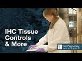 Tissue controls  more for immunohistochemistry  cst tech tips