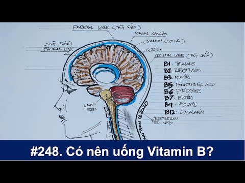 #248. Những ai cần uống Vitamin B?