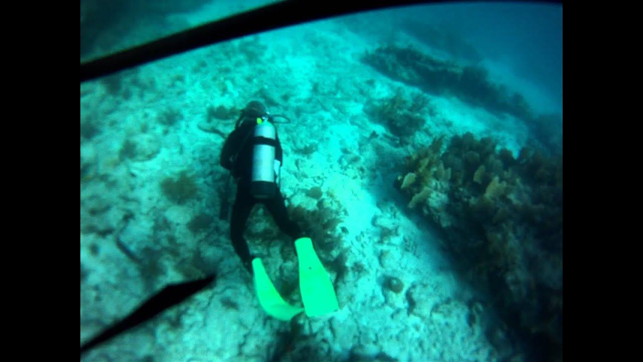 "Little Molasses" Reef Dive in Key Largo, FL on 8/7/11 Scuba Diving