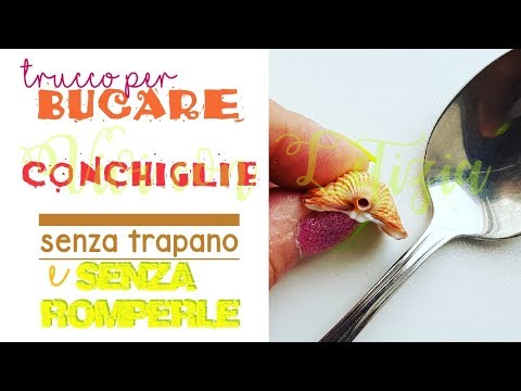 Video: Come Fare La Polvere Di Conchiglia