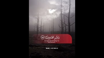 سورة البقرة [آيات«١٥٥:١٥٧»] | القارئ إسلام صبحي.