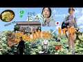 TOKYO JIUJITSU TRIP 🥋✈️🇯🇵 이기러 일본에 갑니다 DAY 1 — 이키한 몸, 이키한 마음