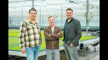 Innovative air-to-growth: Koppert Cress sets new standard with DAC technology in greenhouses