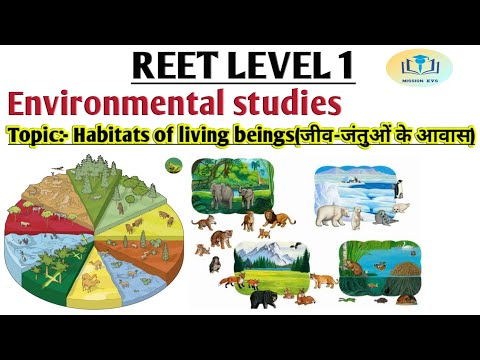 Habitats of living beings(जीव-जंतुओं के आवास) for reet Level 1| environmental studies