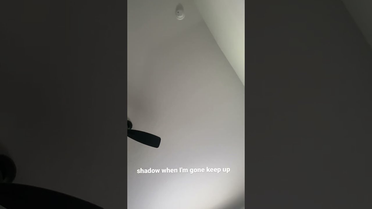 Please Like And Subscribe Funny Music Apoyoooo 
