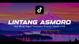 Hey Wong Bagus Tresnamu Kinaryo Tombo - Lirik ~