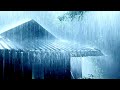 Sleep Hypnosis Within 3 Minutes to Fall Asleep Fast with Heavy Rain & Thunder in Rainforest at Night