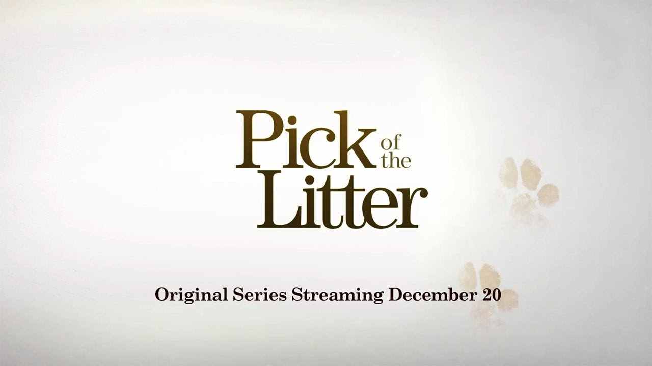 Pick Of The Litter Official Trailer YouTube
