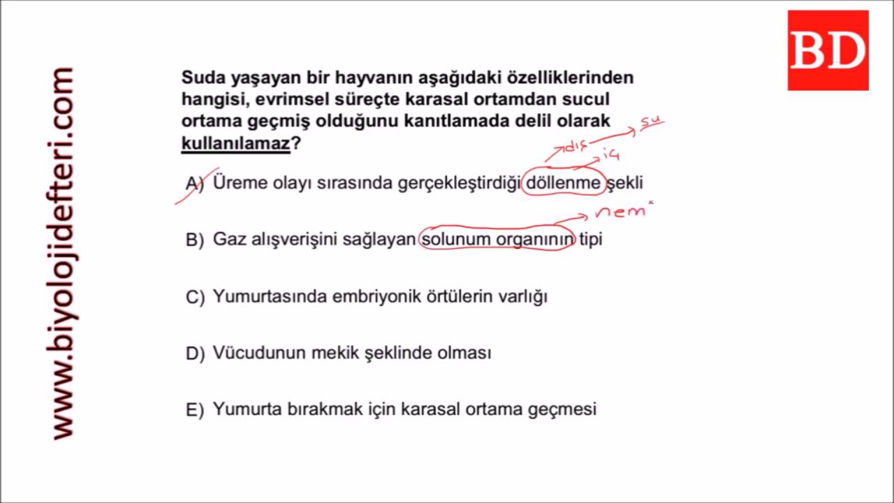 Hayatin Baslangici Ve Evrim Soru Cozumu Youtube