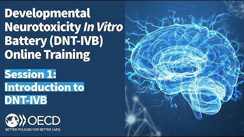 Session 1: Introduction to Developmental Neurotoxicity In Vitro Battery (DNT-IVB)