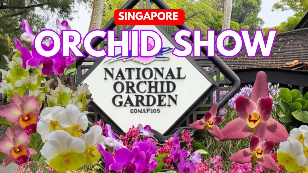 🌼 Singapore Garden Festival 2025 | Popular Orchid Show | Singapore National Orchid Garden