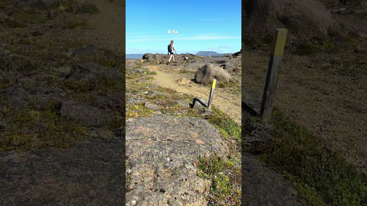 Underrated hike in North Iceland! 🤩⛰️🏕️ #iceland #hikingtrail #asbyrgi #icelandtravel #icelandtrip — Asbyrgi — video poster