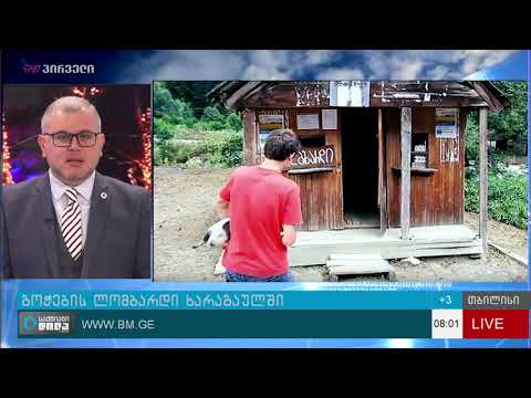 ხარაგაულის სოფელში გოჭებს ილომბარდებენ