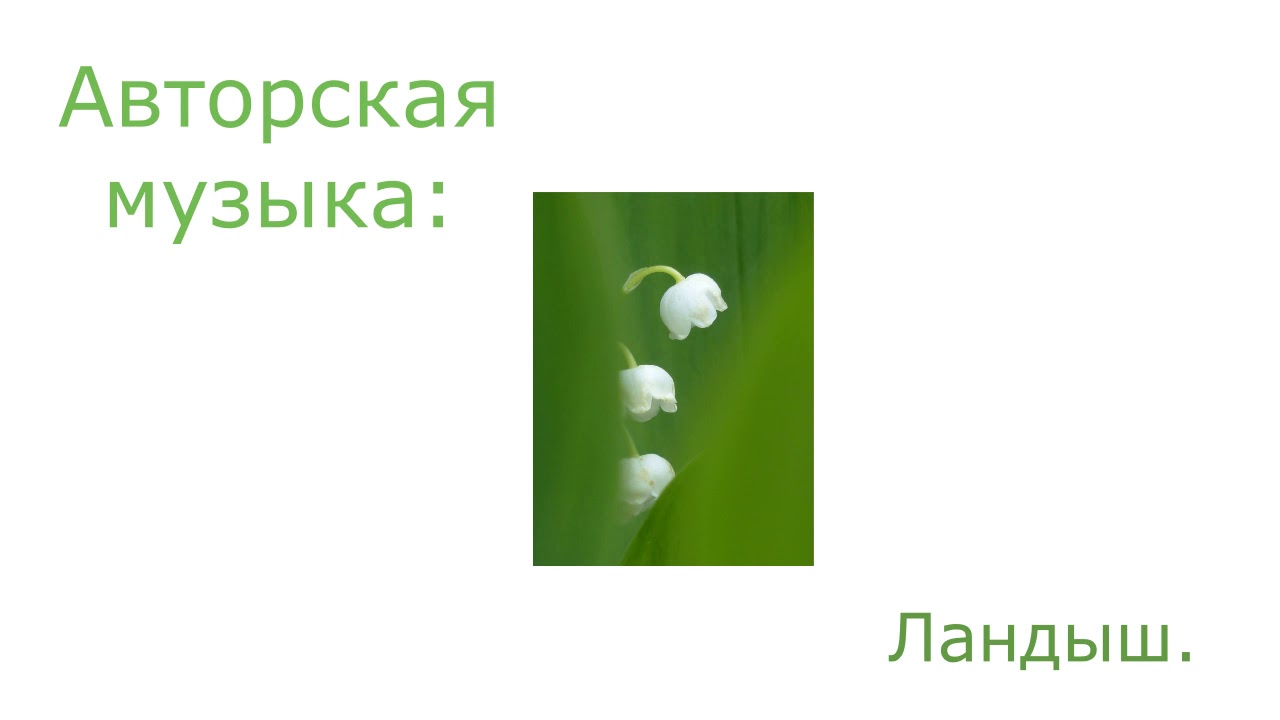 Послушать песню я подарю вам ландыши. Ландыши песня. Ландыши мелодия. Ландыши на гитаре. Ландыши песня с матом.