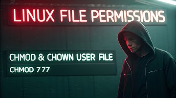 Linux File Permissions: Full Tutorial for Beginners & Experts