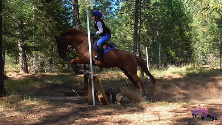 Dana Webber; Equestrian Institute Horse Trials; Fa...