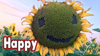 Top 10 Happiest Countries.