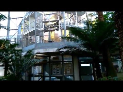 Video: Gewächshaus 