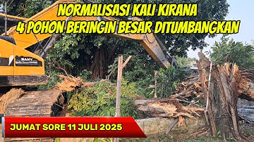 ALHAMDULILLAH!! EXCAVATOR BABAT HABIS 4 POHON BERINGIN BESAR NORMALISASI KALI BEKASI #dedimulyadi