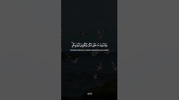 كذبت قوم لوط المرسلين سورة الشعراء الشيخ ياسر الدوسري