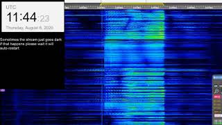 The Buzzer/UVB-76(4625Khz) August 6th 2020 11:43UTC Voice message