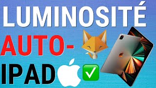 Comment Désactiver La Luminosité Automatique Sur IPad screenshot 4