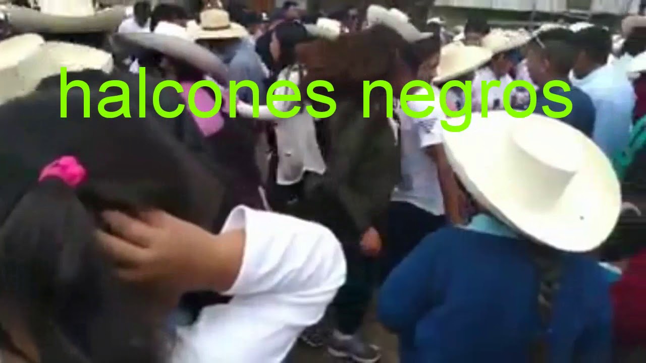 CADENITA DE ORO los halcones negros