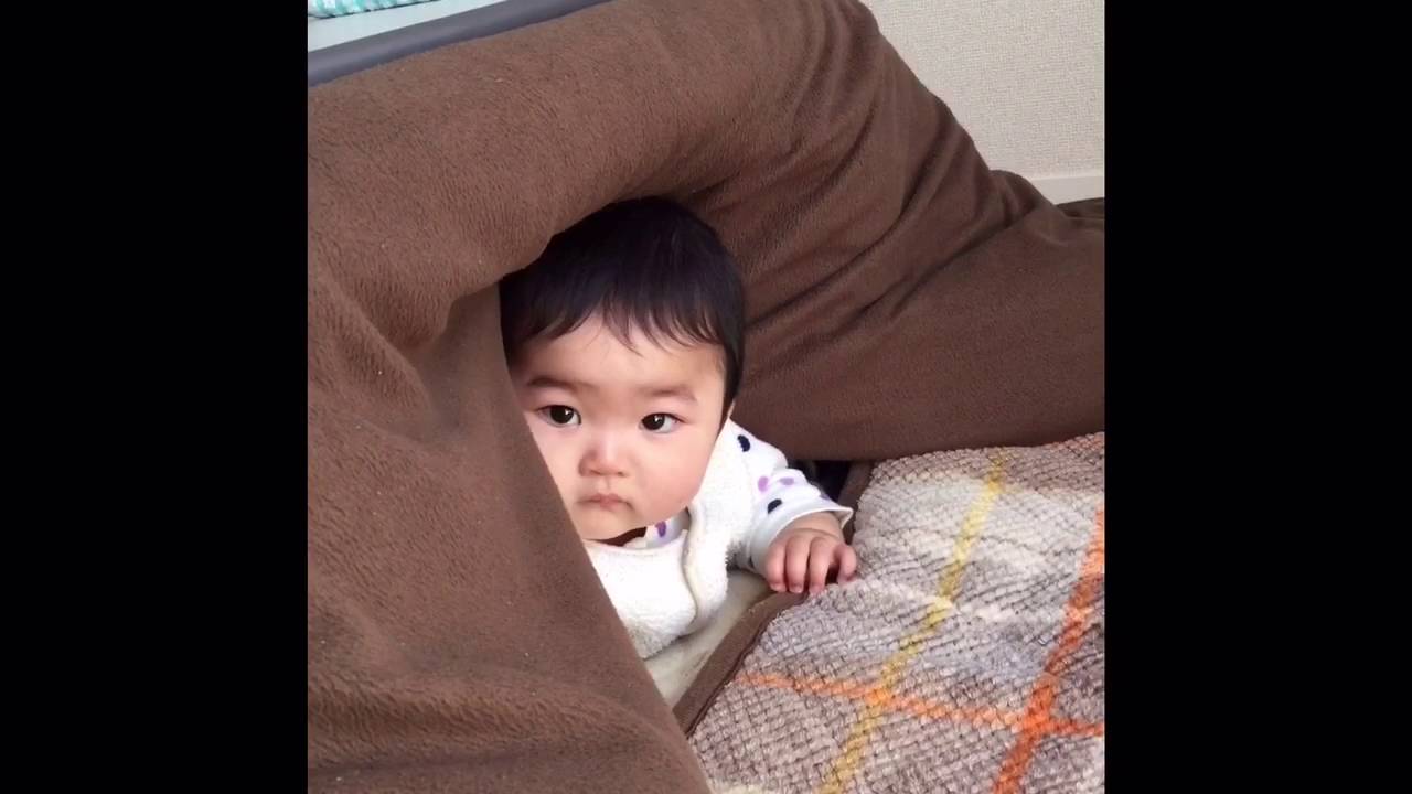 コタツに潜る赤ちゃん ミミちゃん Youtube