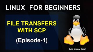 Linux for Beginners |  Transfer files from Remote Server to a Linux PC using SCP