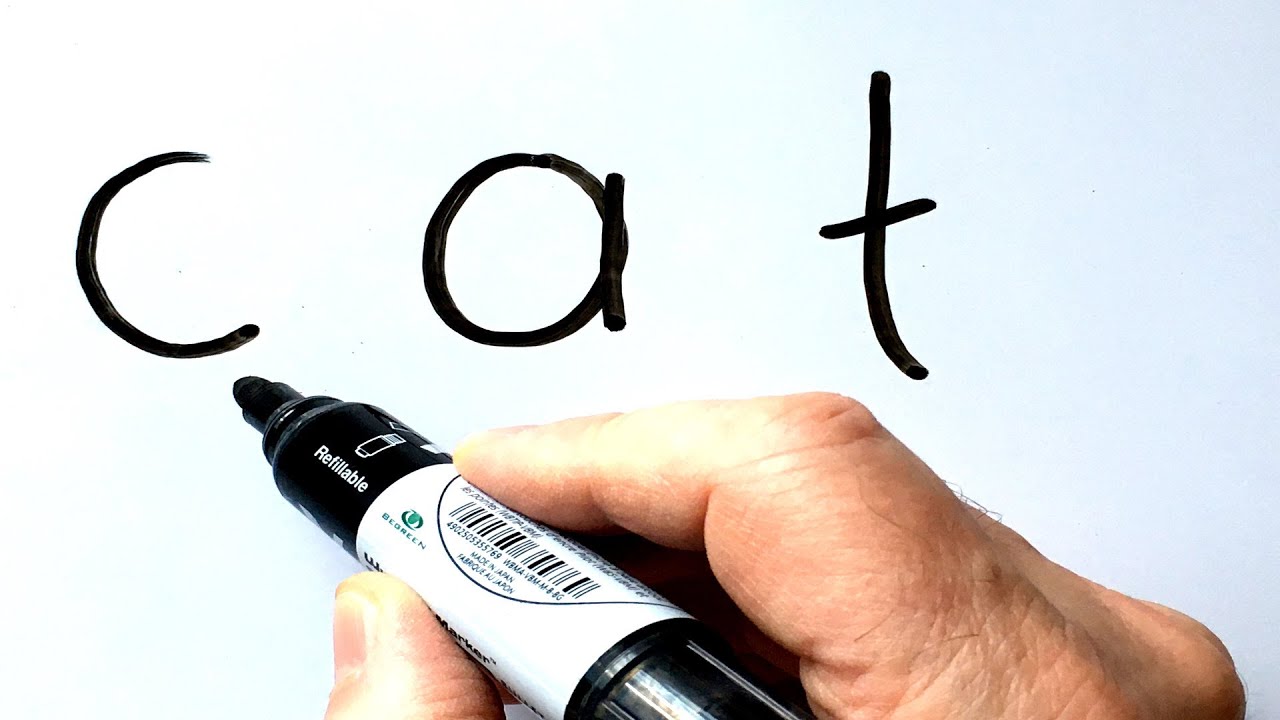 How to Turn Words Cat into a Cartoon - Drawing on Whiteboard Step