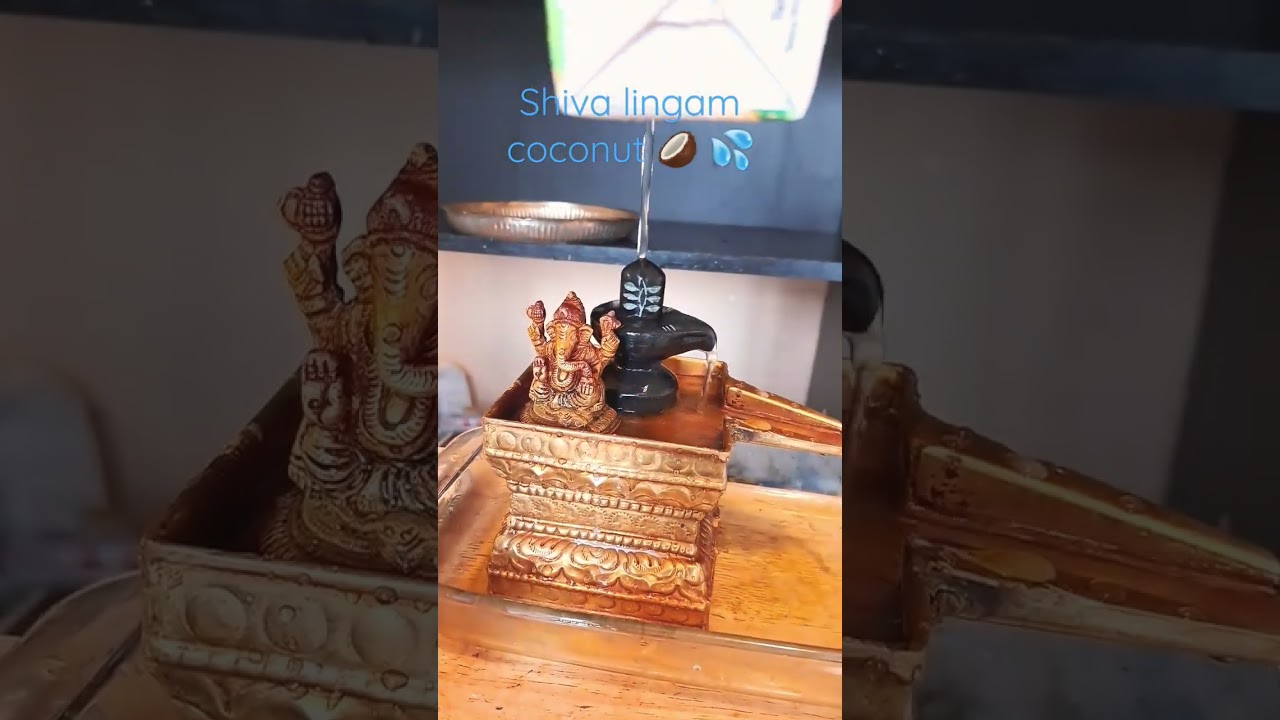 Shiva lingam coconut 🥥 💦 abishekam