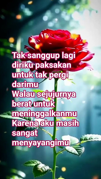 lelah mengejar cinta yg tak pasti