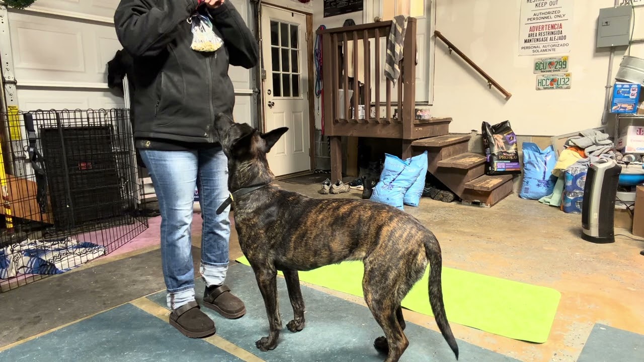 Sigyn FF nose touches and finding front without pivot disc