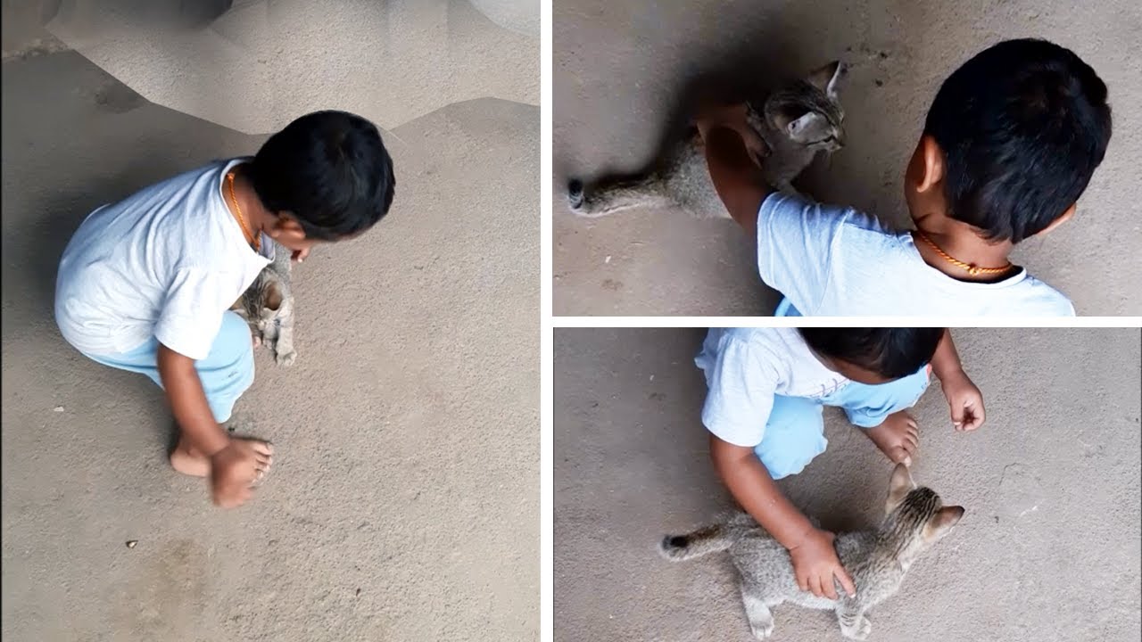 Baby Playing with Cat | Funny Baby Video 