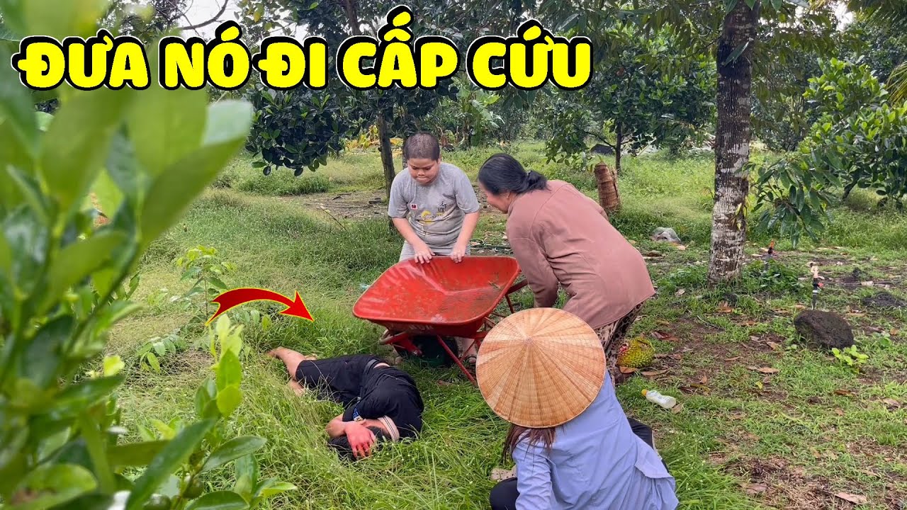 Dì Hương Linh Ế Tái Xanh Mặt Khi Thằng Cháu Bị Trái Sầu Riêng Rơi Trúng Đầu