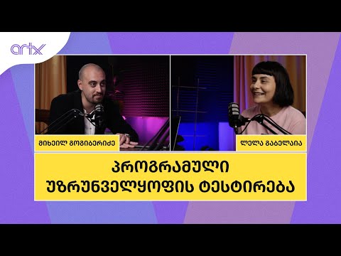 ლელა გაბელაია: პროგრამული უზრუნველყოფის ტესტირება