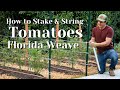 How To Stake and String Tomatoes and Tomatillos with the Florida Weave