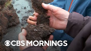 Scotland's peat bogs recognized for their vital role in storing carbon